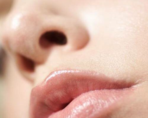 hydra lips