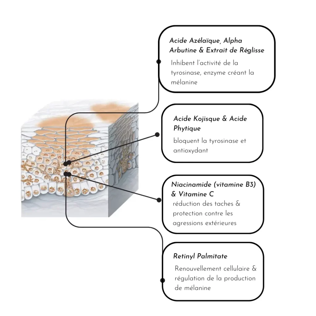 action du cosmelan peel sur taches visage melasma hyperpigmentation