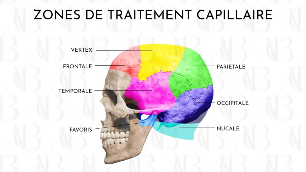 zones de traitement capillaire HD - soin cheveux